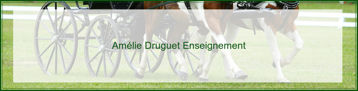 Amélie Druguet Enseignement